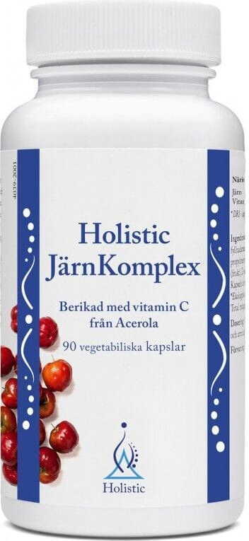 Eisen järnkomplex 25mg 90 Kapseln GANZHEITLICH