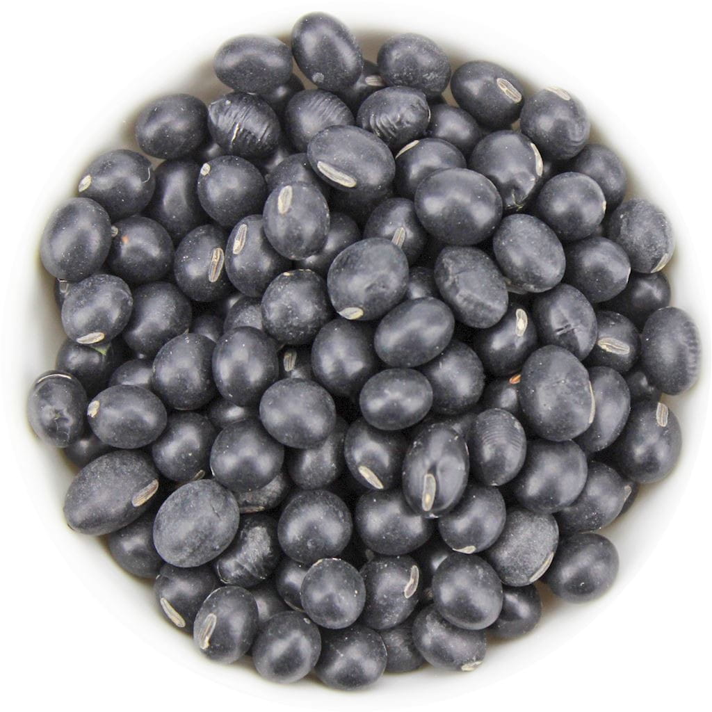 SCHWARZES SOJA BIO (ROHSTOFF) (25 kg) - Biolaboratorium