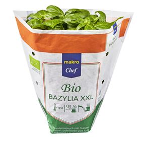MAKRO CHEF BIO BASILIKUM BIO XXL 1 POLNISCHE ART